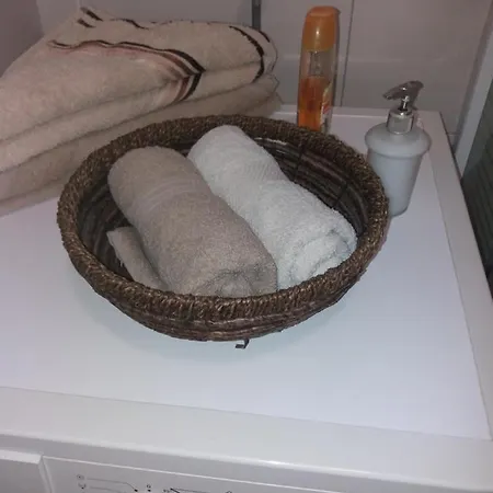 Stojanovic R 노비사드