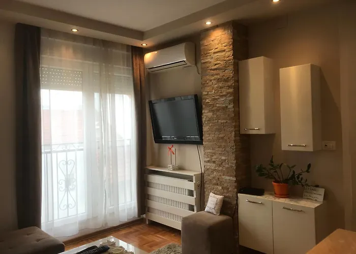 Daire Stojanovic R Novi Sad