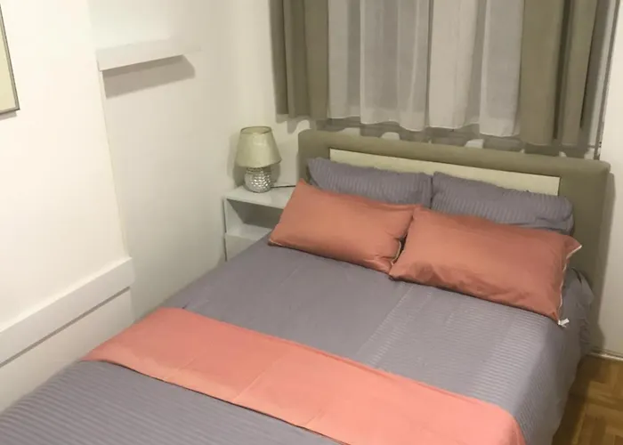 Stojanovic R Novi Sad