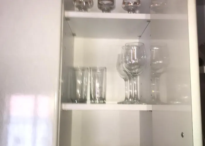 Daire Stojanovic R Novi Sad