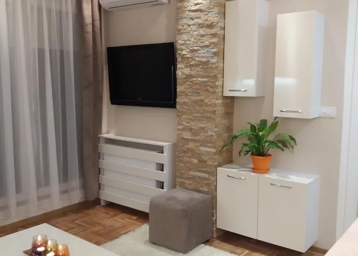 Daire Stojanovic R Novi Sad