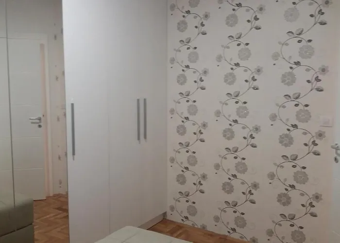 Stojanovic R Daire Novi Sad